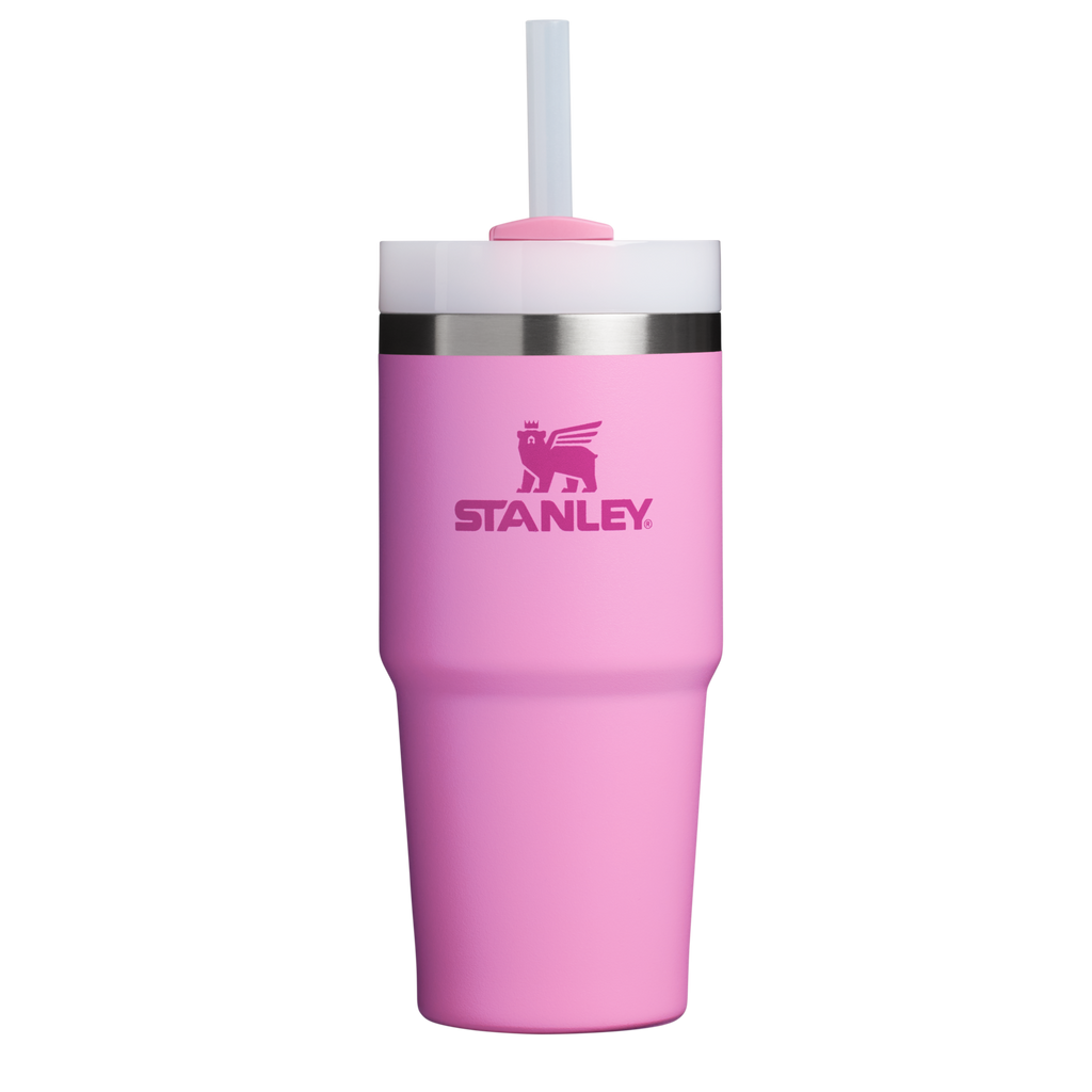 Double-Wall Vacuum The Quencher H2.0 Flowstate Tumbler D214X - Double-Wall Vacuum Insulated Travel Tumbler with Straw Detail