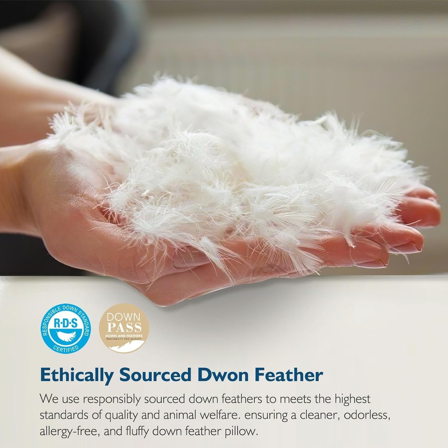 Hotel Collection Hypoallergenic 3‑Chamber Goose Feather Down Core Bed Pillows, Standard Size Set of 2, With Microfiber Surround, Soft-... - Hotel Quality Plush Sleeping Pillows Detail