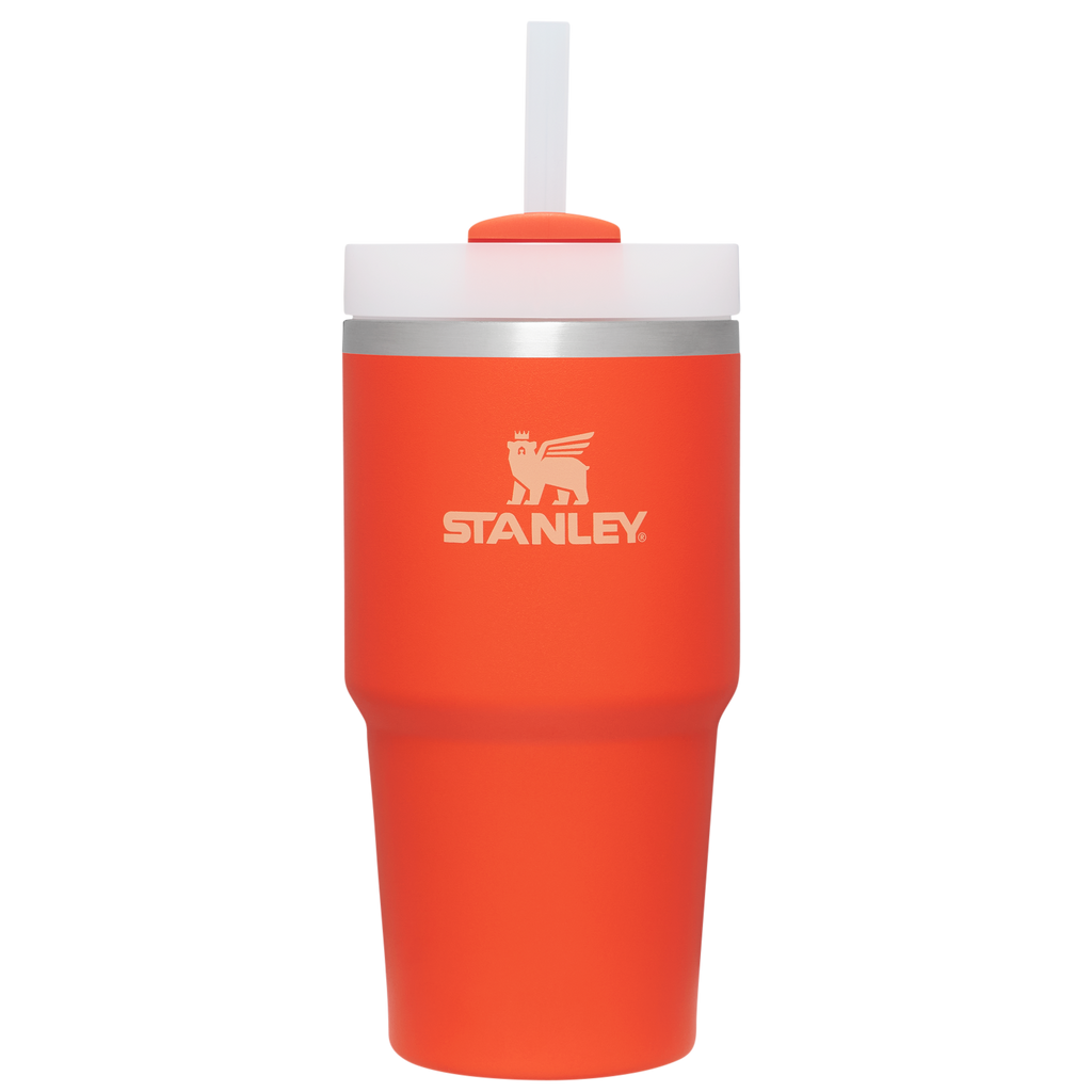 Insulated Travel The Quencher H2.0 Flowstate Tumbler D030T - Premium Stainless Steel Straw Cup for All-Day Hydration - Tigerlily