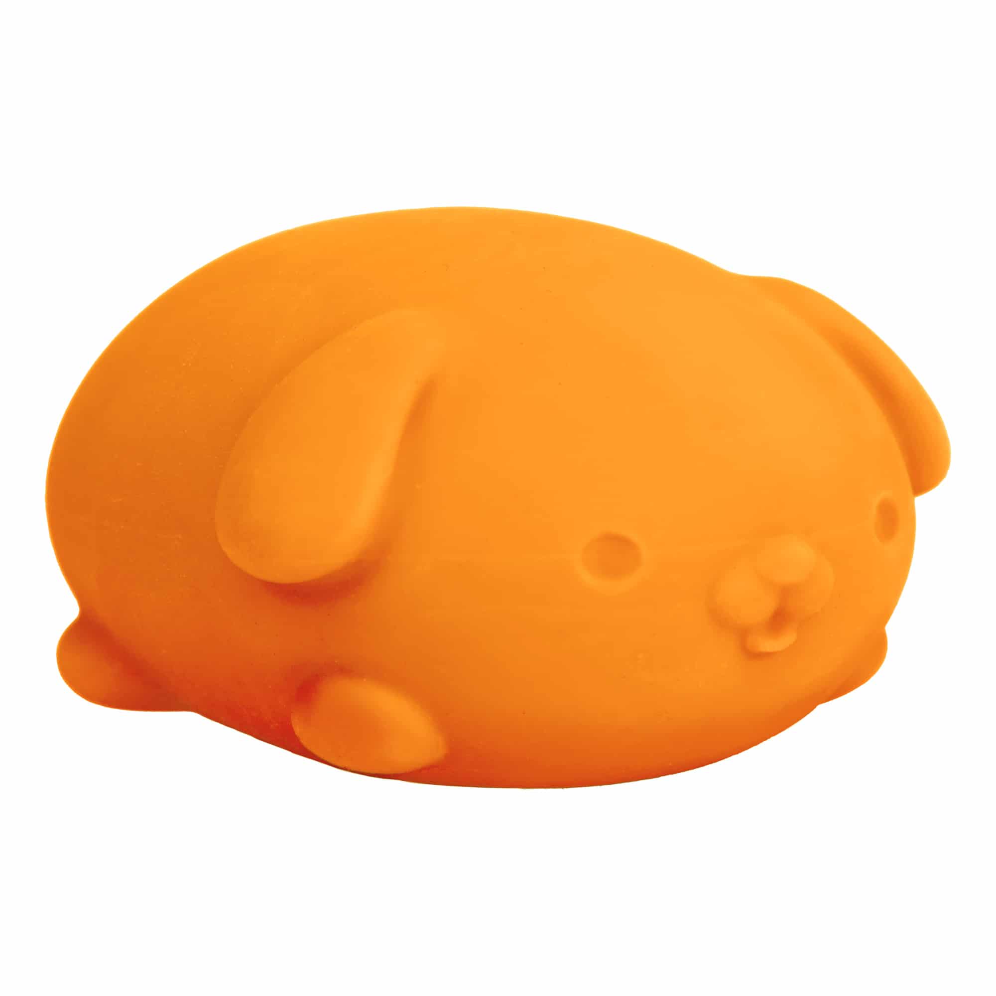 Animal-Shaped NeeDoh Funky Pup | Collection Canyon Shore - Cute Animal-Shaped NeeDoh Fidget Toy for Kids Detail