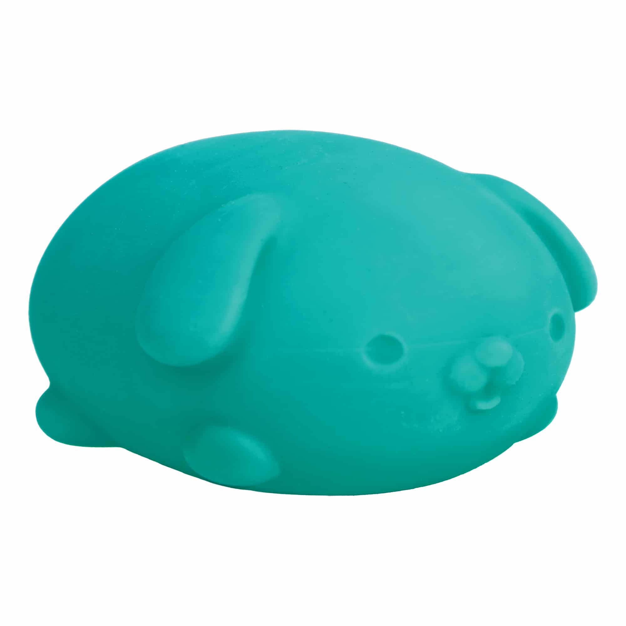 Animal-Shaped NeeDoh Funky Pup | Collection Canyon Shore - Cute Animal-Shaped NeeDoh Fidget Toy for Kids Detail