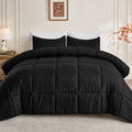 Luxurious Quilted Queen Size Comforter Sets, 3 Piece Soft Quilted Bedding Sets, All-Season Down Alternative Comforter with 2 Pillow Sha... - Cloud-Like Soft Lightweight Bed Comforter - Default Title